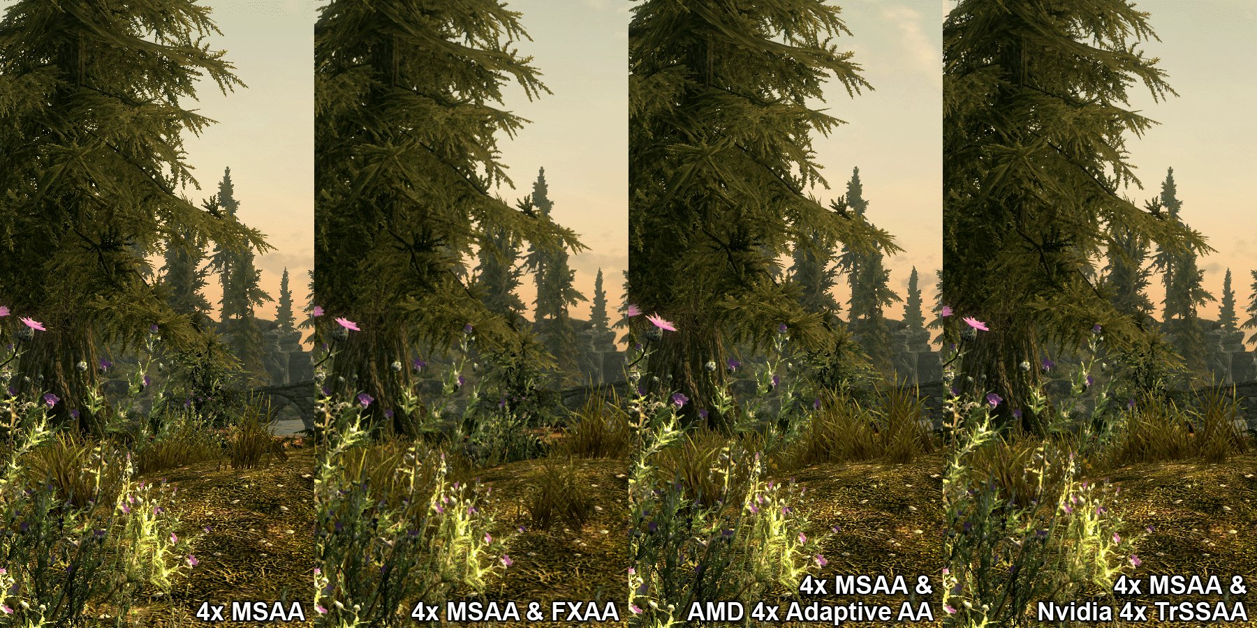 comparisonwtf.jpg