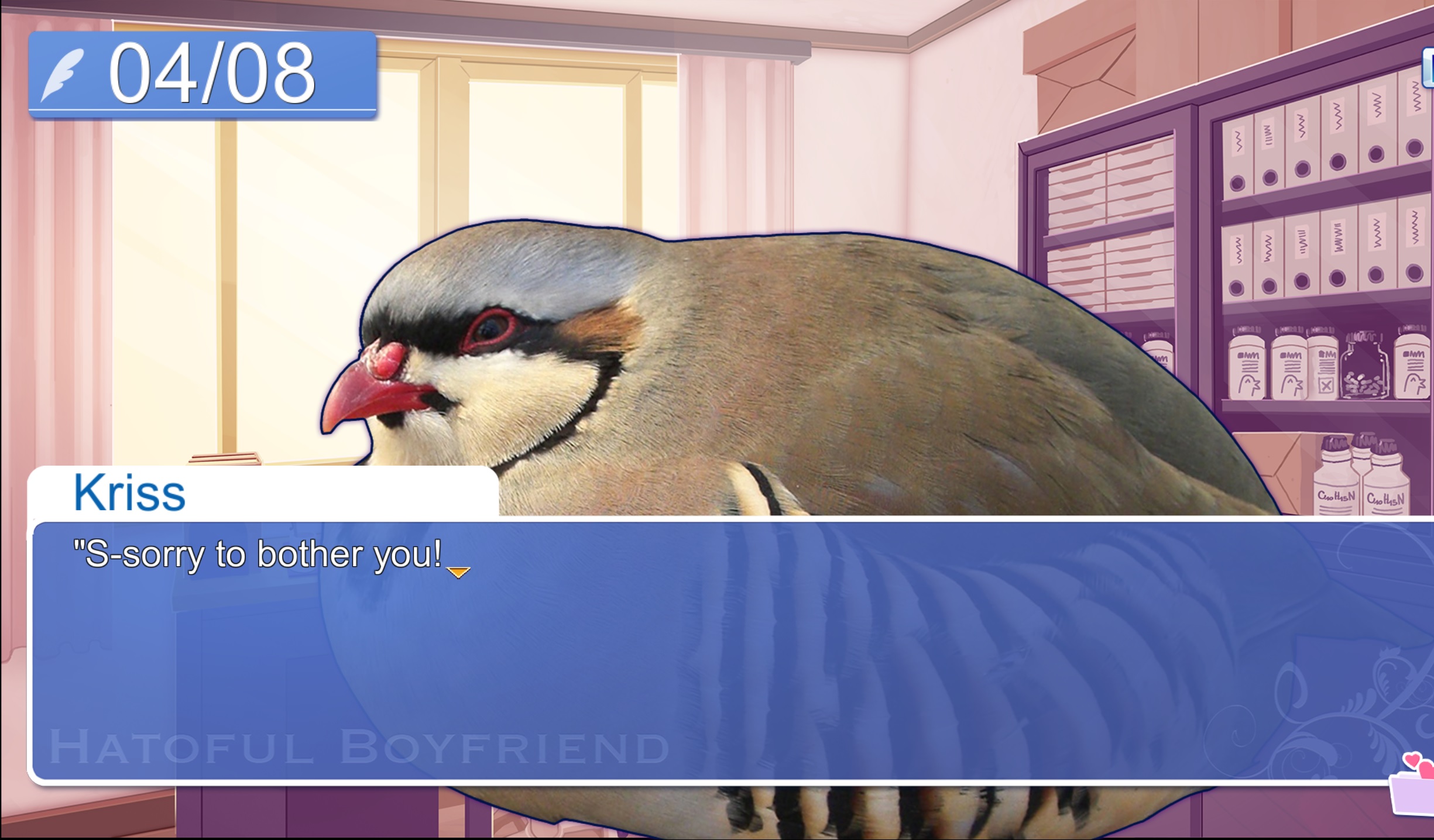 hato.jpg