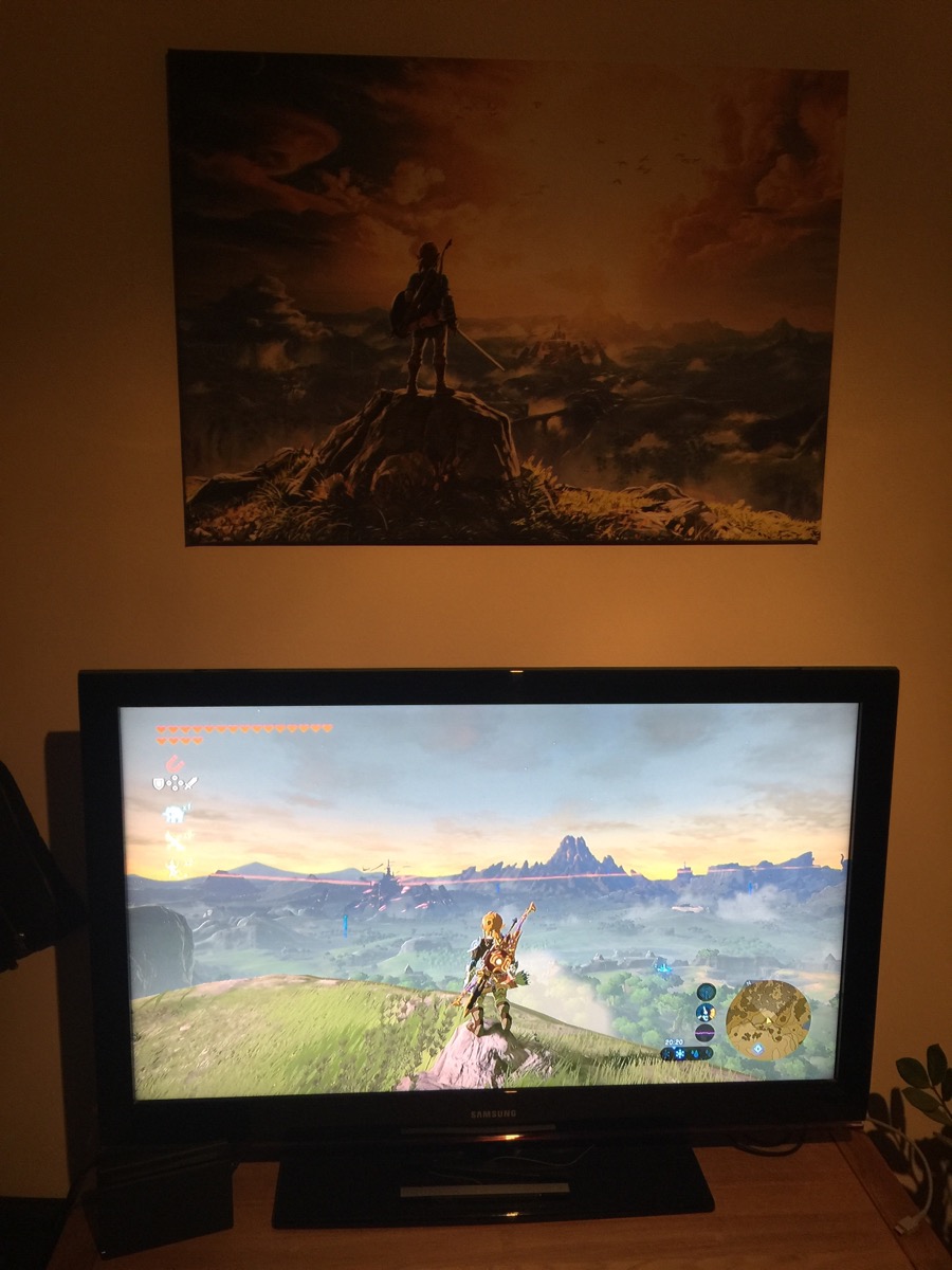 zelda.JPG