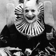 Grønn Zebra